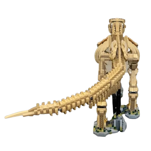 main-image-6-removebg-preview.png