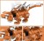 main-image-5.jpeg