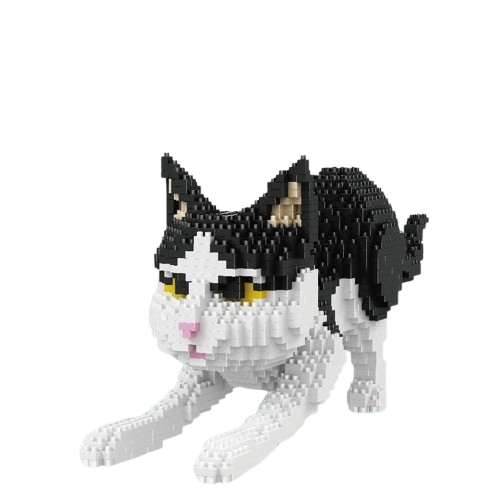 description-image-14-removebg-preview.png