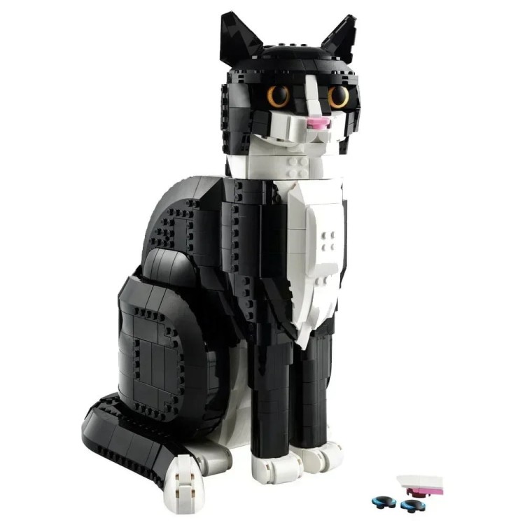 description-image-6.jpeg