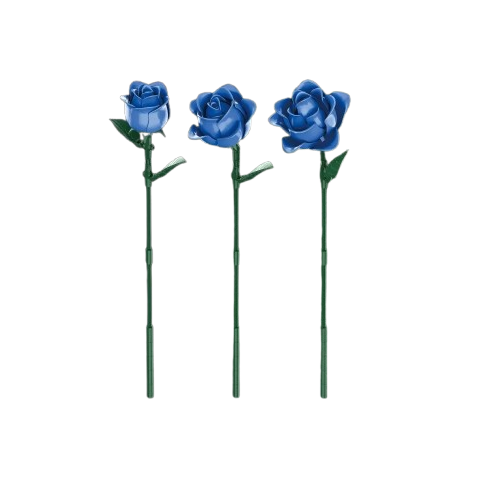 main-image-5-removebg-preview.png