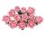 main-image-4-removebg-preview.png