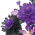 main-image-4-removebg-preview.png