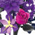 main-image-5-removebg-preview.png
