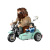 main-image-6-removebg-preview.png