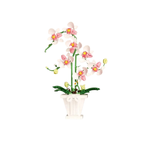 description-image-21-removebg-preview.png