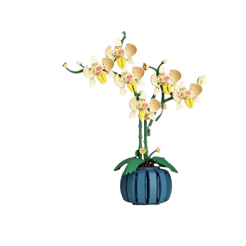description-image-26-removebg-preview.png