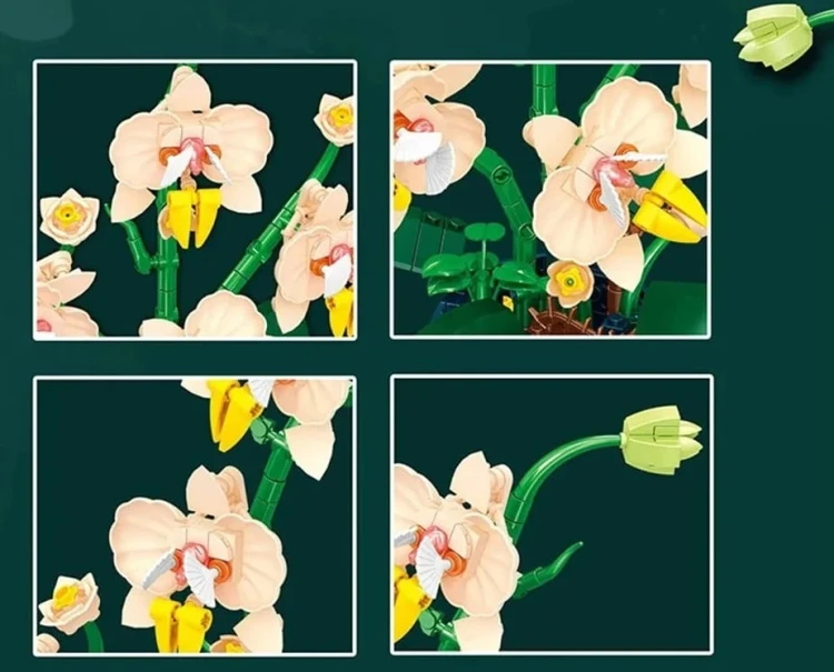 description-image-8.jpeg