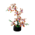 main-image-3-removebg-preview.png